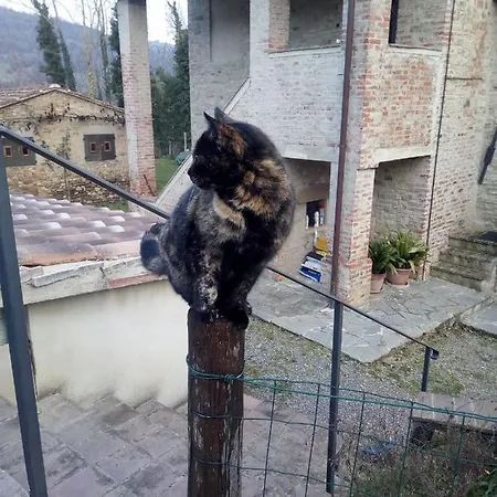 Per Vacanze In Umbria Con Piscina