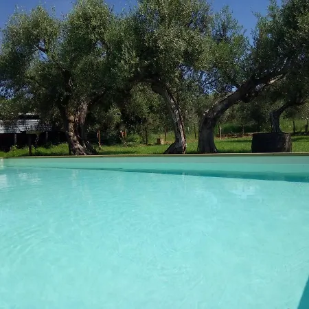 Per Vacanze In Umbria Con Piscina דירה