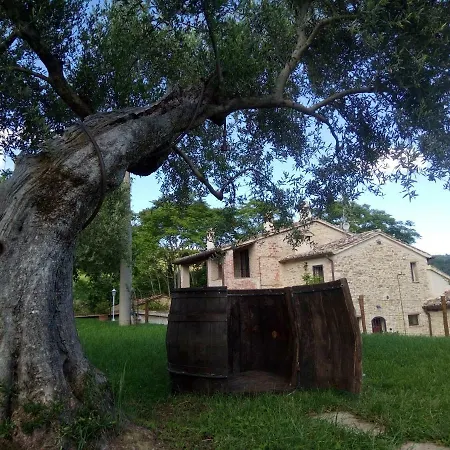 Per Vacanze In Umbria Con Piscina *