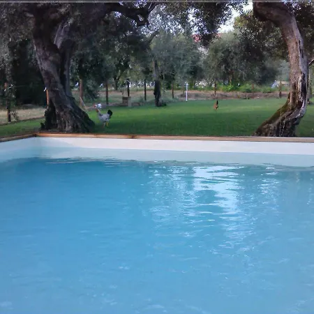 Per Vacanze In Umbria Con Piscina Vicolo Rancolfo