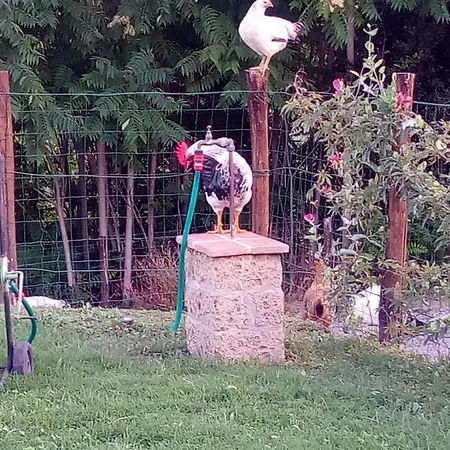 Per Vacanze In Umbria Con Piscina דירה Vicolo Rancolfo