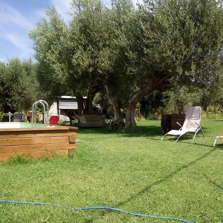 Per Vacanze In Umbria Con Piscina *