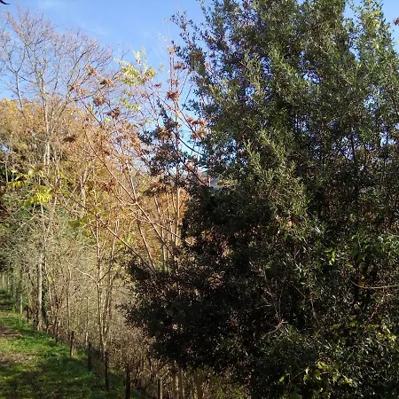 Per Vacanze In Umbria Con Piscina דירה